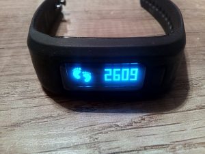 UP-2-excelvan-moving-3-300x225 UP-2-excelvan-moving-3-300x225