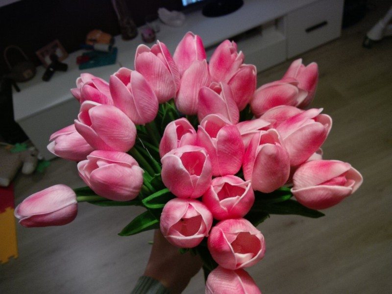 petra petula kubalikova